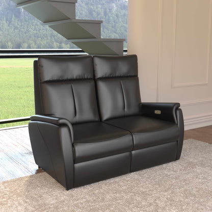 Leather Recliner


